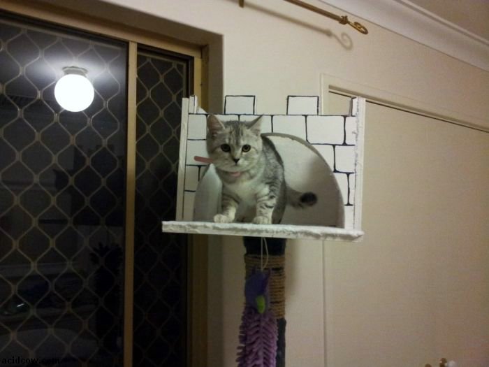 DIY Cat Tower (13 pics)