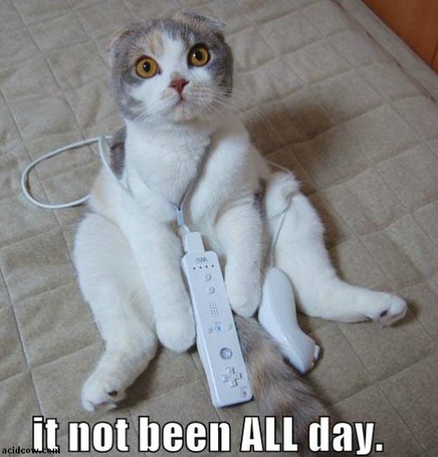 Funny Video Game Pictures (46 pics)