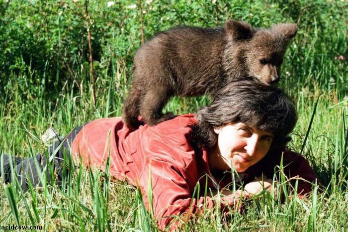 Raising a Bear Cub (25 pics)