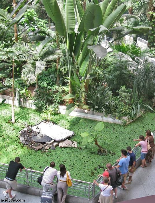 Botanical Garden Inside a Train Station (9 pics)