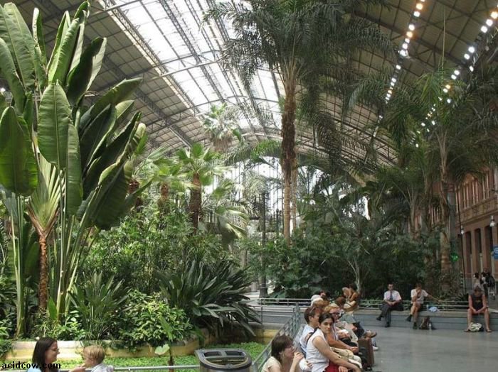 Botanical Garden Inside a Train Station (9 pics)