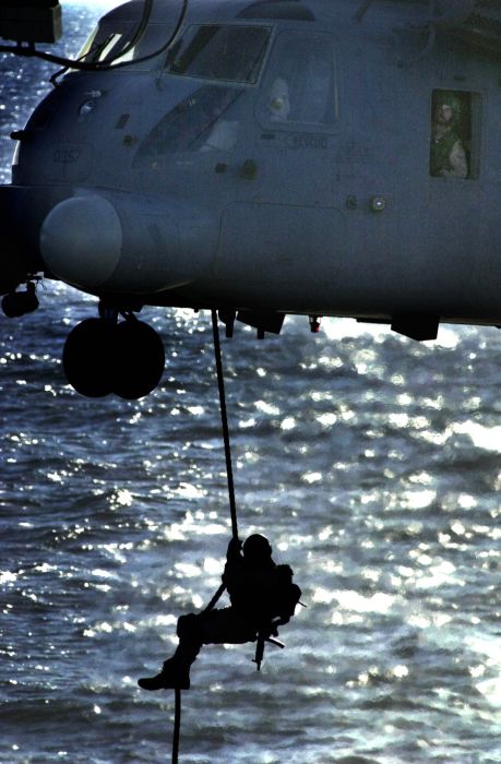 SEALs (81 pics)