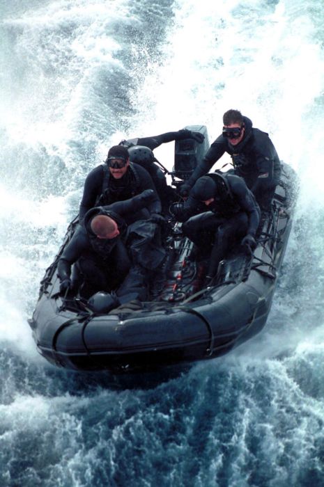 SEALs (81 pics)
