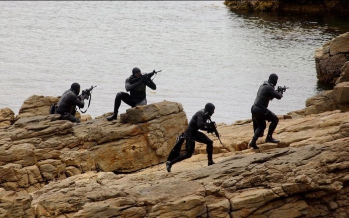 SEALs (81 pics)