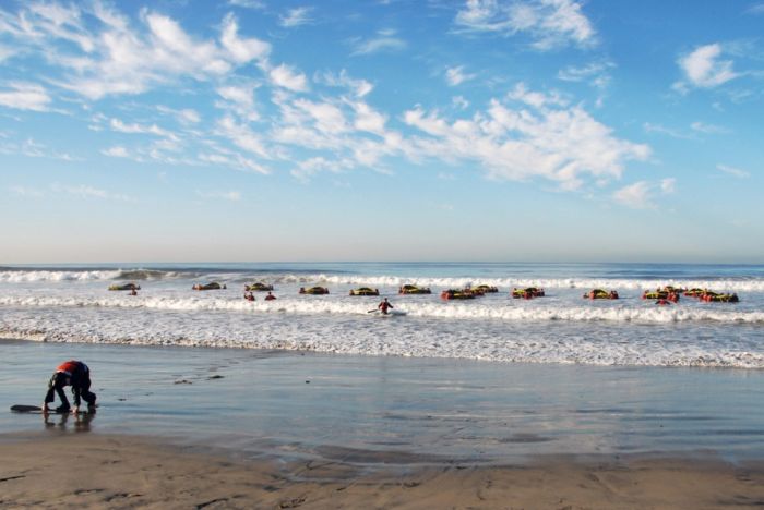 SEALs (81 pics)