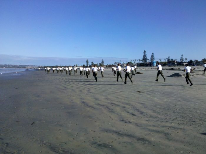 SEALs (81 pics)