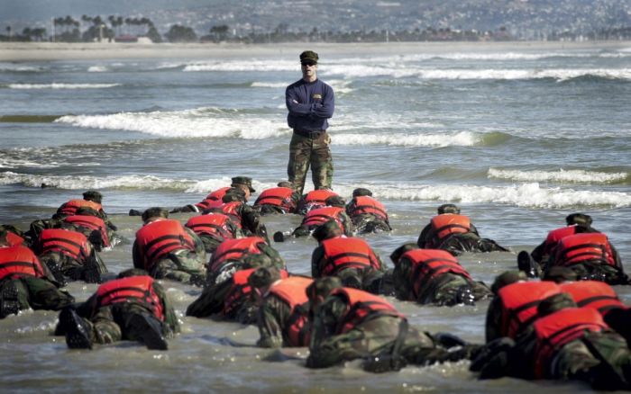 SEALs (81 pics)
