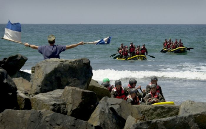 SEALs (81 pics)