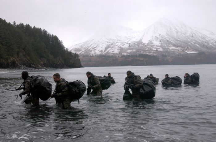 SEALs (81 pics)