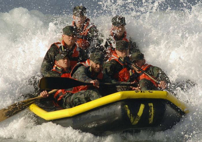 SEALs (81 pics)
