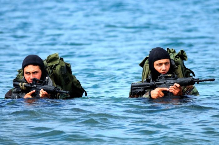 SEALs (81 pics)