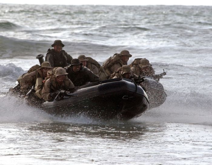 SEALs (81 pics)