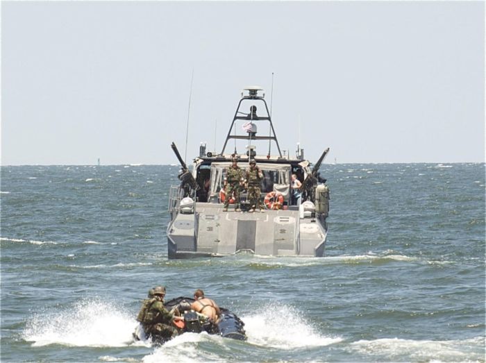 SEALs (81 pics)
