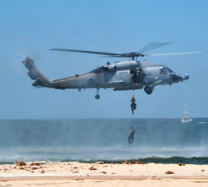 SEALs (81 pics)