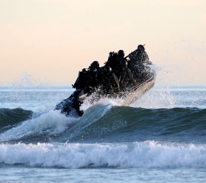 SEALs (81 pics)