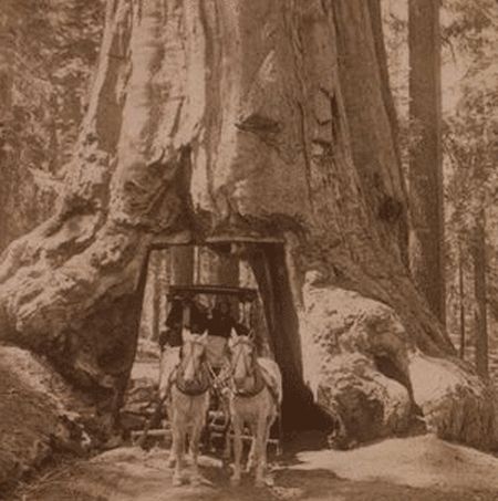 3D Pictures of the American West (31 gifs)
