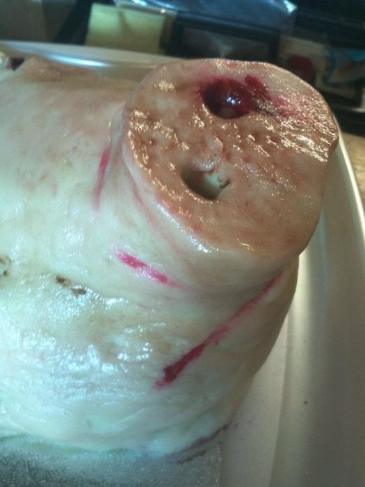 Disgusting Cakes (11 pics)