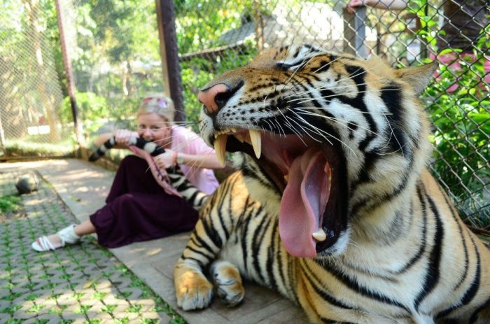 Acid Picdump (136 pics)