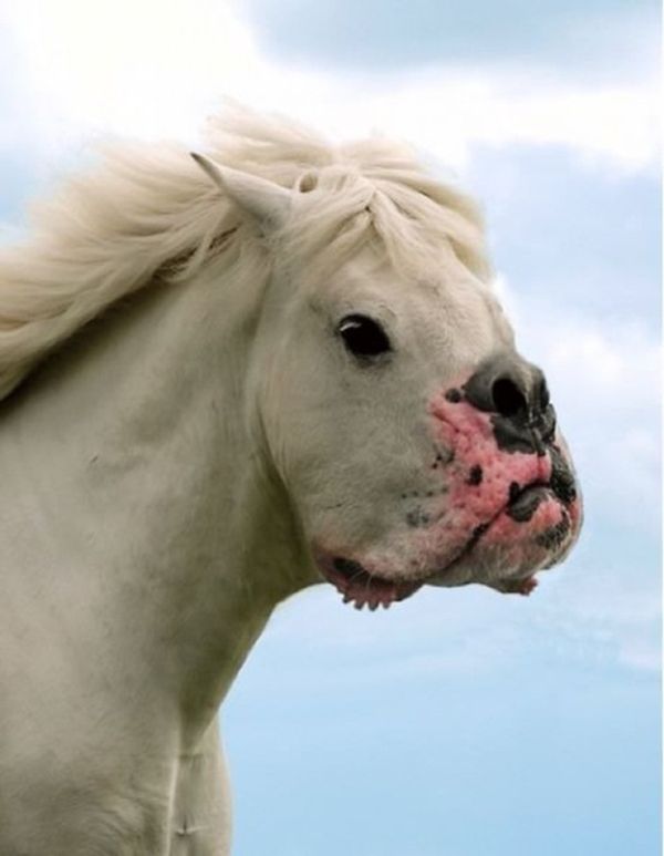 Acid Picdump (136 pics)
