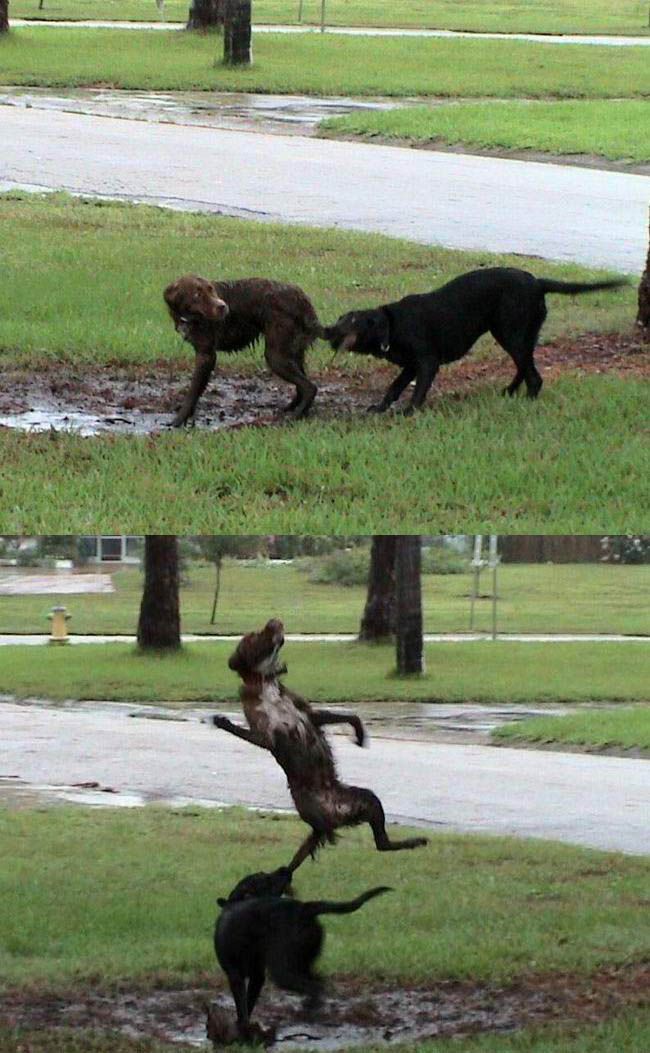 Acid Picdump (136 pics)
