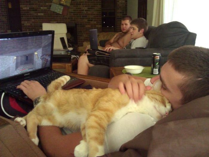 Acid Picdump (136 pics)