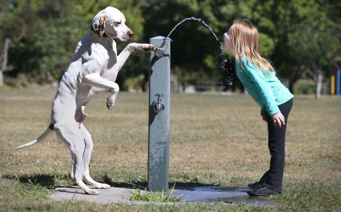 Acid Picdump (136 pics)