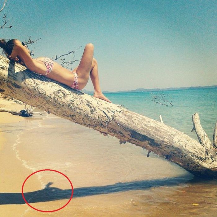 Acid Picdump (136 pics)