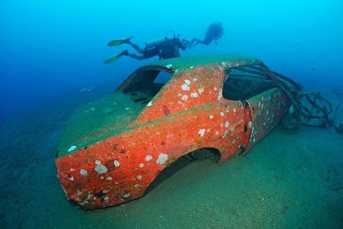 Artificial Reefs (29 pics)