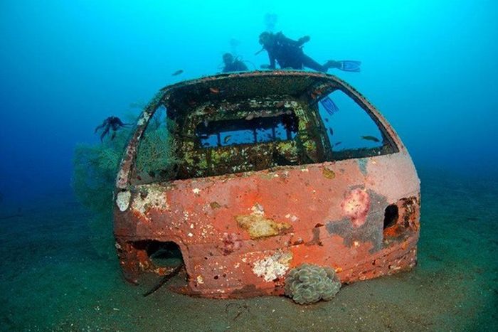 Artificial Reefs (29 pics)