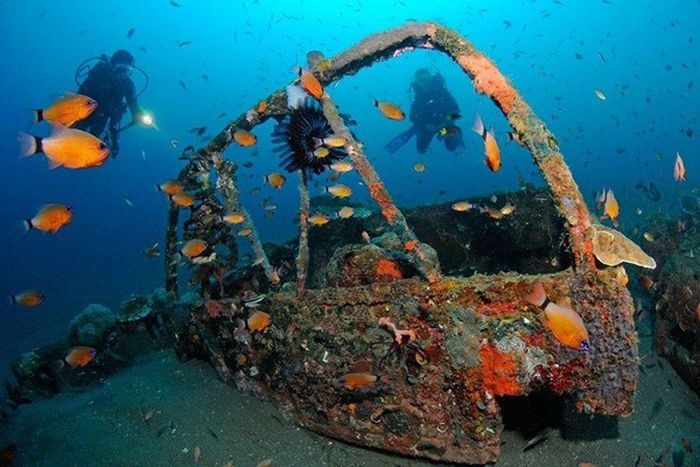 Artificial Reefs (29 pics)