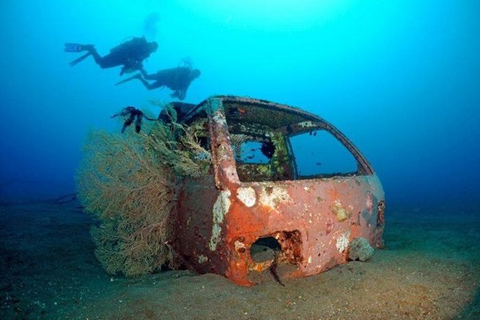 Artificial Reefs (29 pics)