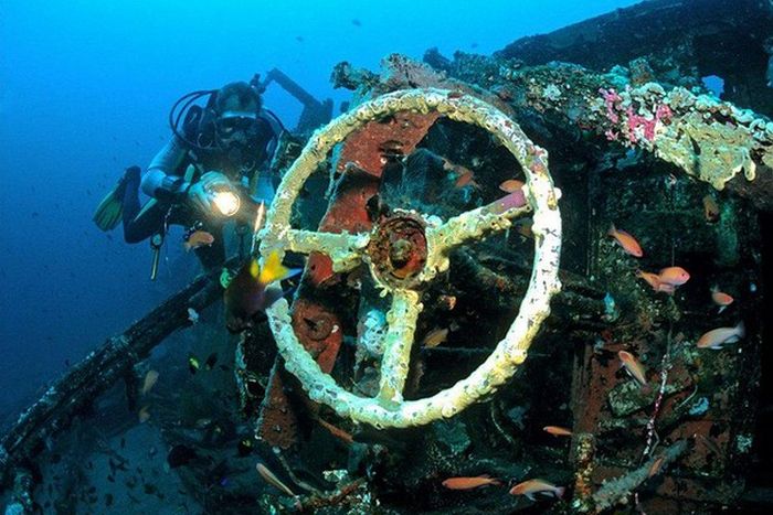 Artificial Reefs (29 pics)