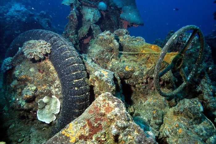 Artificial Reefs (29 pics)