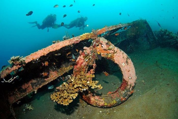 Artificial Reefs (29 pics)