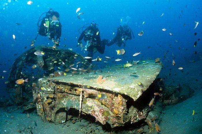 Artificial Reefs (29 pics)