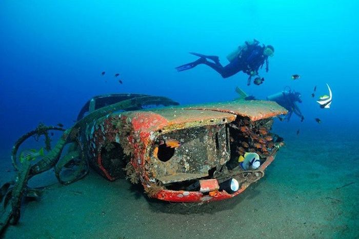 Artificial Reefs (29 pics)