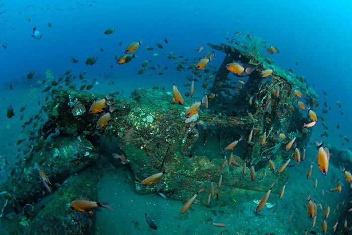 Artificial Reefs (29 pics)