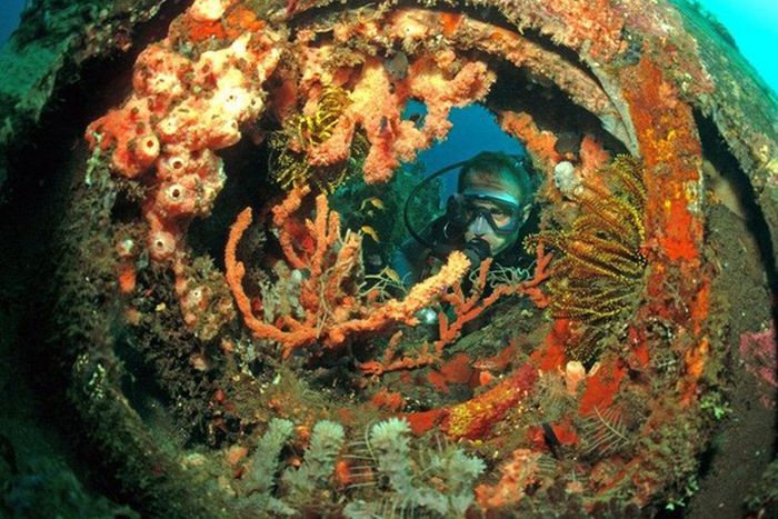 Artificial Reefs (29 pics)