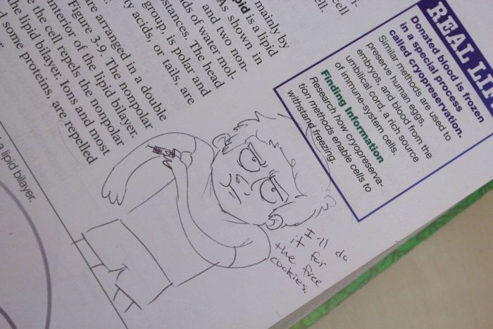 Textbook Drawings (46 pics)