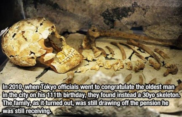 Facts You Probably Didn't Know (27 pics)