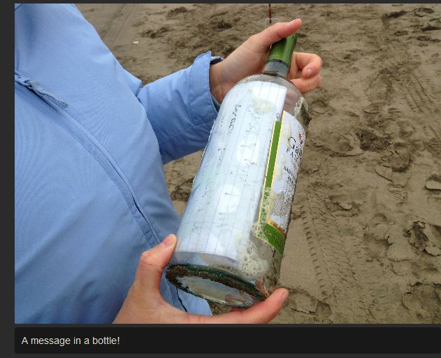 Message in a Bottle (8 pics)