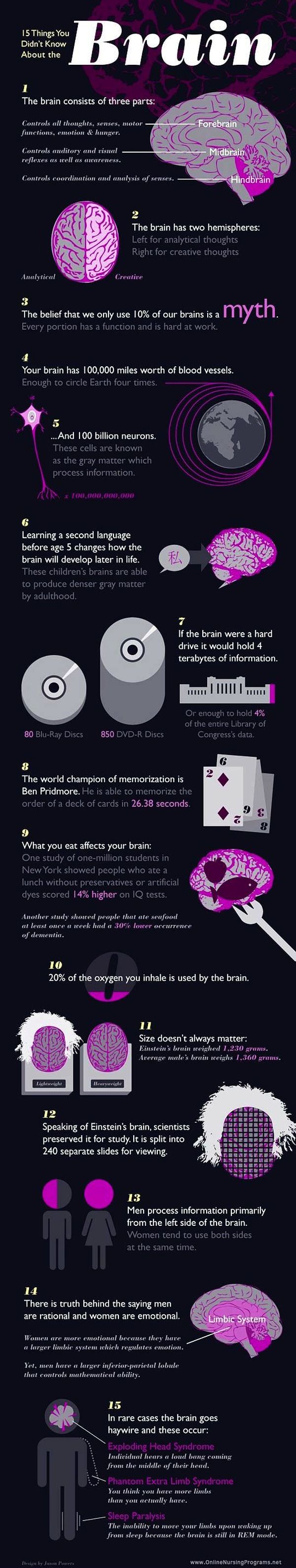 15 Things You Didn't Know About the Brain (1 pic)