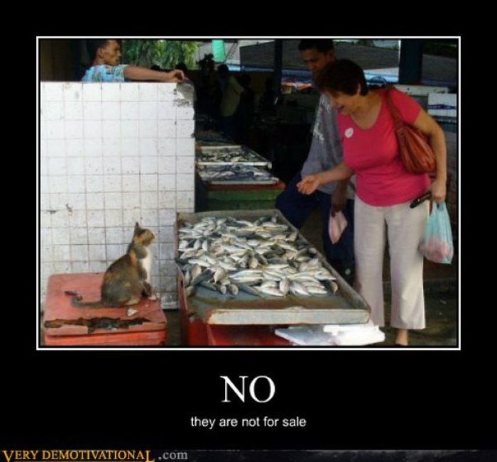 Funny Demotivational Posters (33 pics)