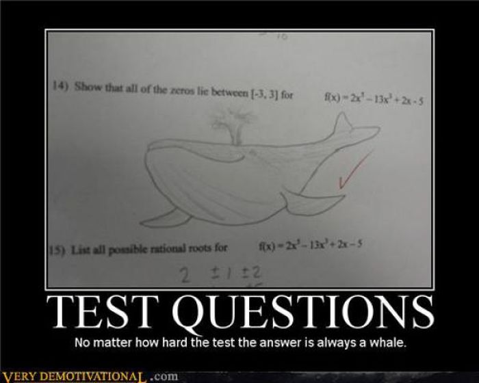 Funny Demotivational Posters (33 pics)