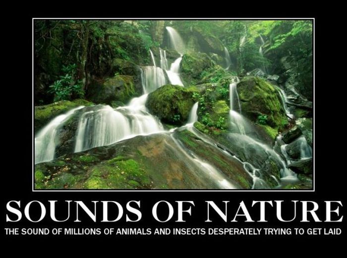 Funny Demotivational Posters (33 pics)