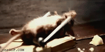 Acid Gifdump (15 gifs)