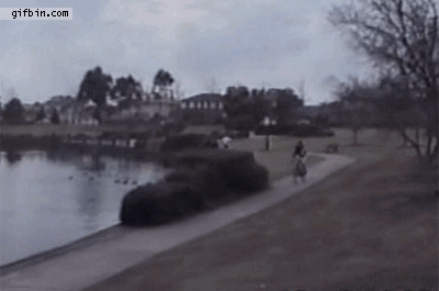 Acid Gifdump (15 gifs)