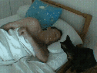 Acid Gifdump (15 gifs)