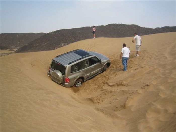 We Are Stuck (18 pics)