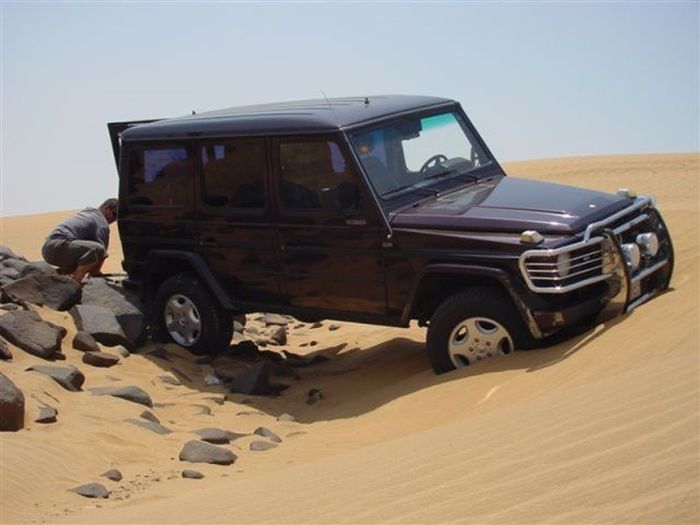 We Are Stuck (18 pics)